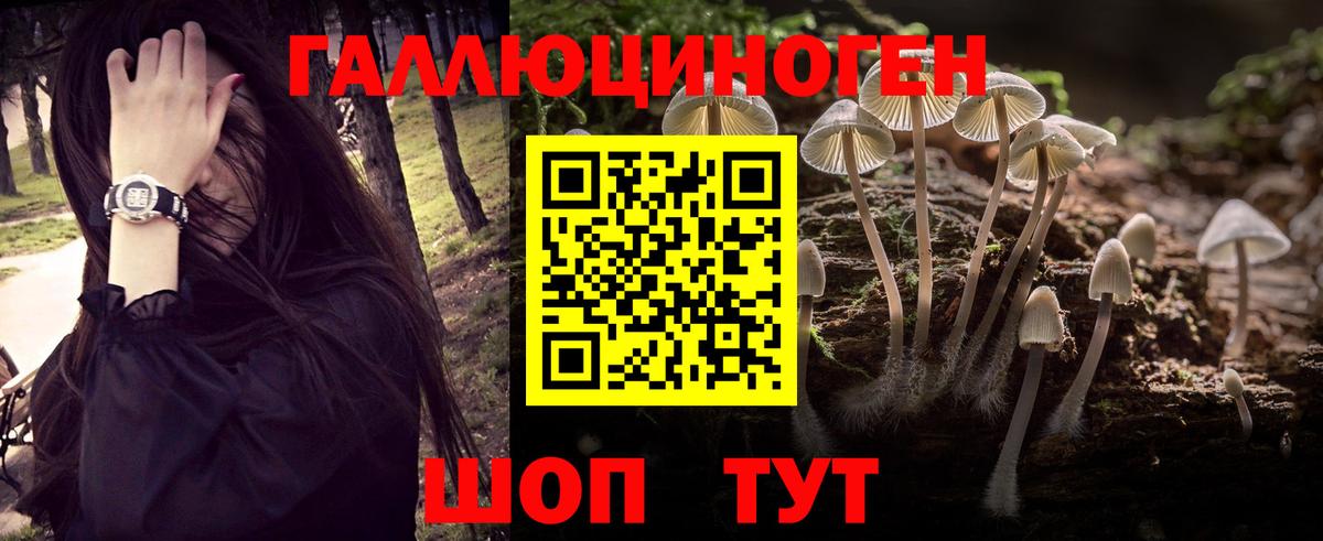 Лыткарино  Псилоцибиновые грибы Psilocybe  Вход с VPN 